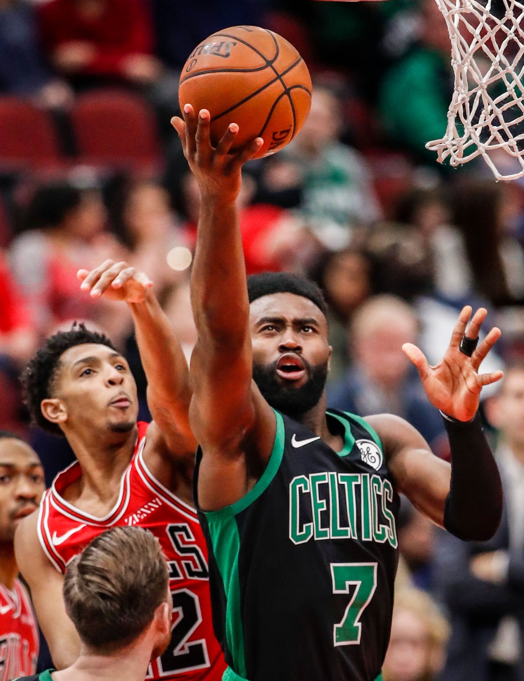 官宣李金效 官宣李金效